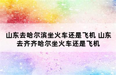 山东去哈尔滨坐火车还是飞机 山东去齐齐哈尔坐火车还是飞机